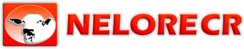 NeloreCR - Vendas de Touros